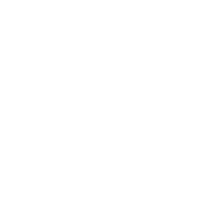 Quels types de chocolats proposez-vous ?