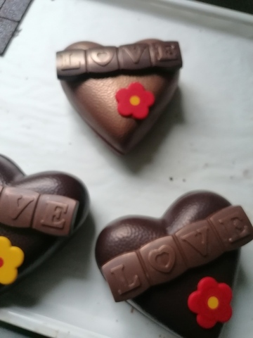 Remi et la chocolaterie Bazas2